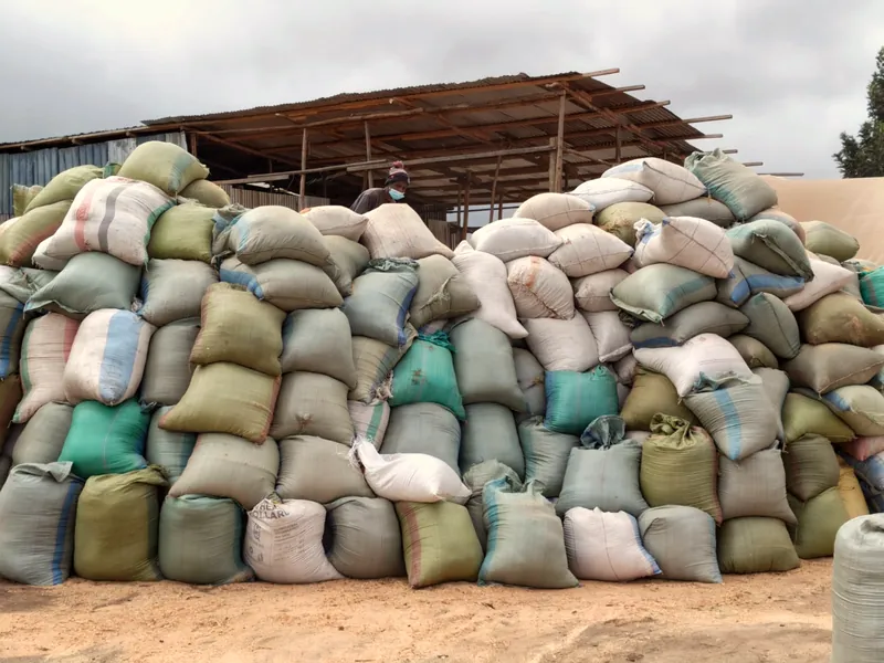 Stockpile of feedstock sacks under the shed