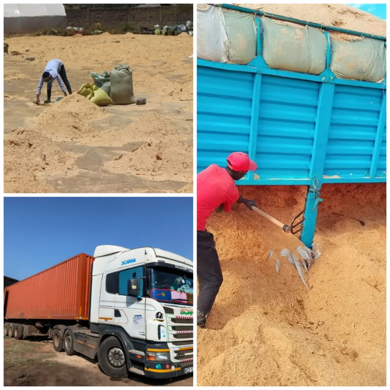 Utheri workers drying sawdust, offloading feedstock and delivering fuel