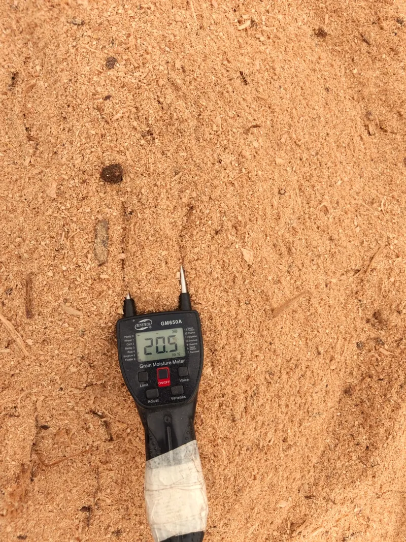 Moisture meter testing a bed of sawdust